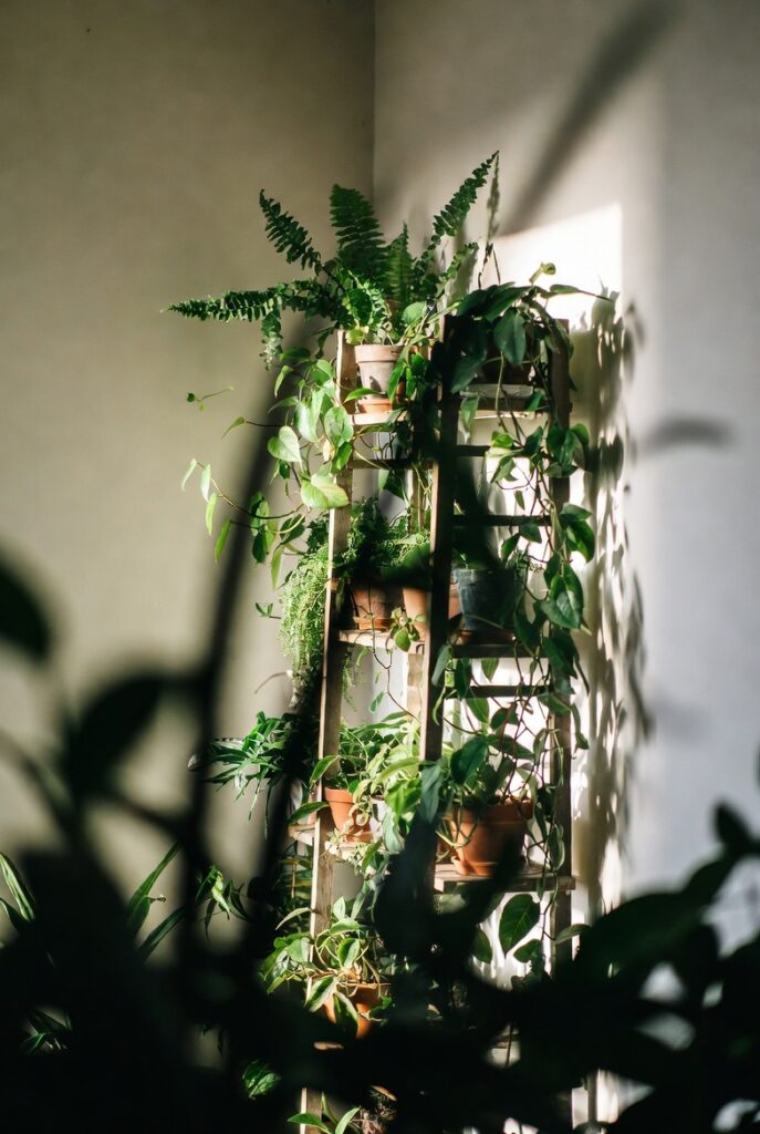 A Vertical Plant Display for Plant Lovers