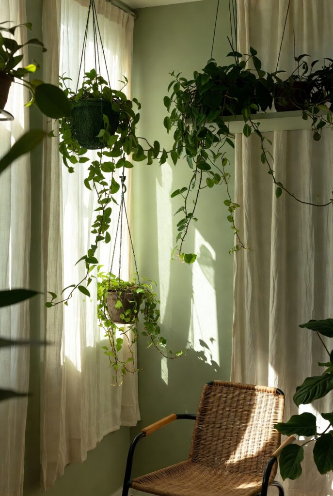 Layer in a Few Trailing Houseplants